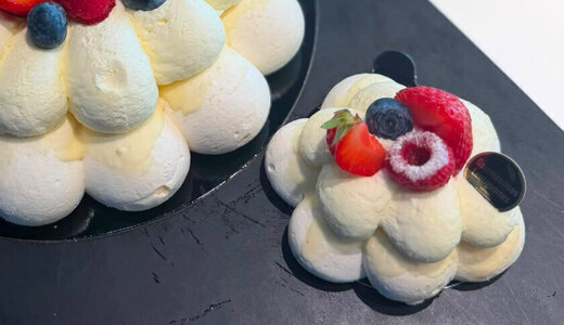 PAVLOVA INDIV