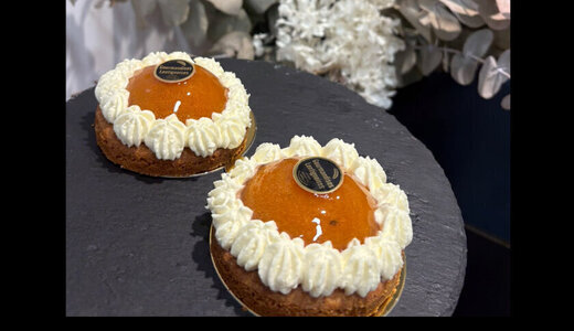 TATIN ABRICOT INDIV