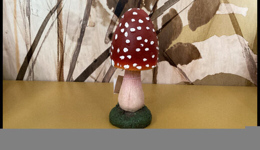 Petit champignon
