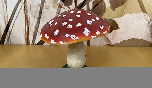 Grand champignon