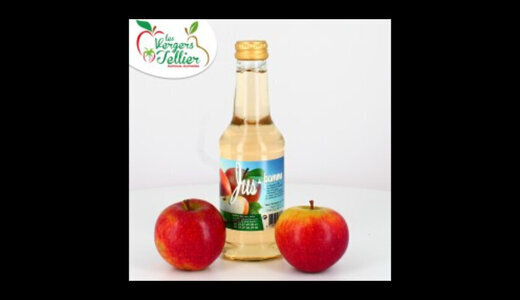 JUS DE POMME TELLIER 25cl