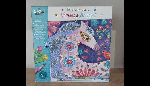 Cartes à créer "Cheveaux de diamants"