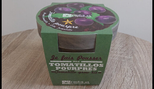 Pot Terre cuite Basalte - Tomate Violettes