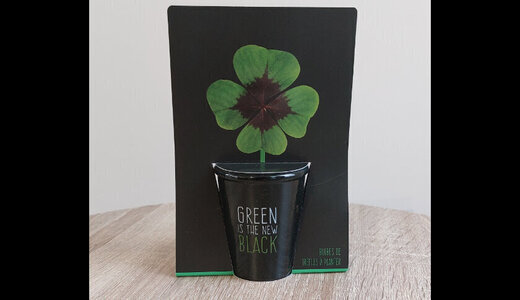 Pot BLACK - Trèfle 4 feuilles