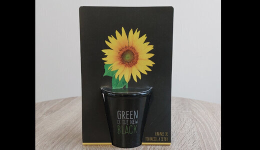 Pot BLACK - Tournesol