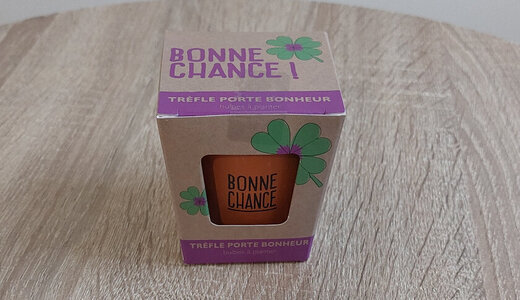 Kit Message - "Bonne Chance" trèfle à 4 feuilles