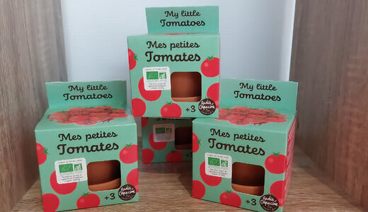 Pot Terre - Mes petites tomates