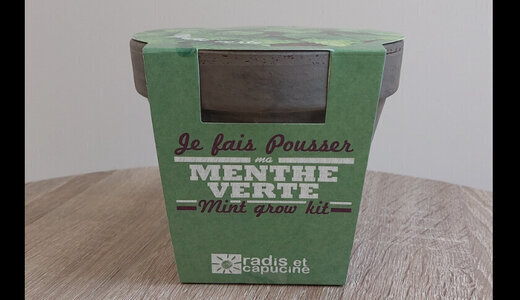 Pot Terre - Menthe verte