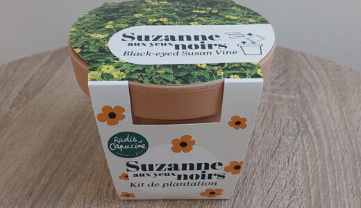 Pot Terre - Suzanne aux yeux noirs