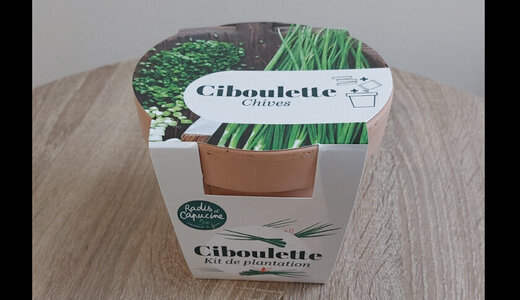 Pot Terre - Ciboulette Bio