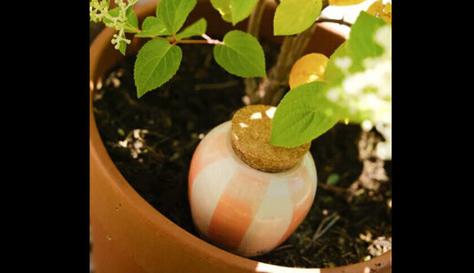 Olla Rayée orange et crème PEPIN