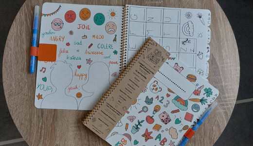 Carnet d'activité