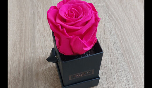 Rose fuschia
