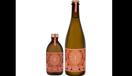 Kombucha romarin/gingembre
