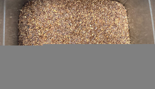 Rooibos Nature Bio 50gr