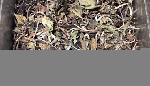 Thé blanc Pai Mu Tan Bio 50gr