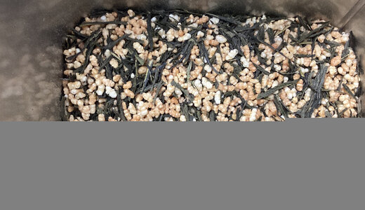 Thé vert Japan Genmaicha Bio 50gr