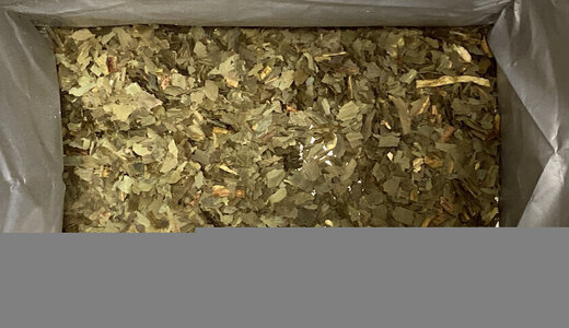 Ail des Ours 10gr
