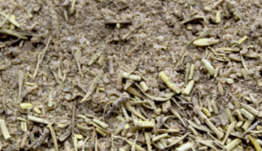 Mélange pour volailles 70gr
