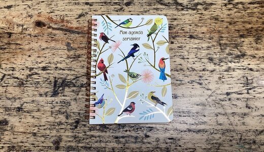 Agenda Semainier