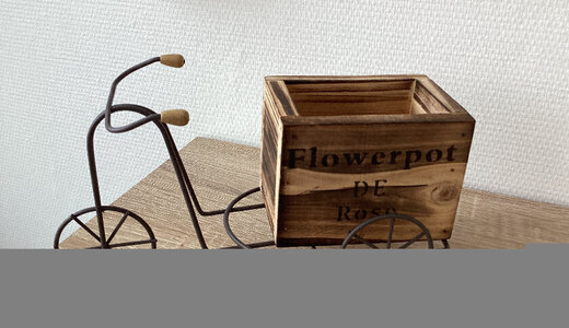 Tricycle pour Plante