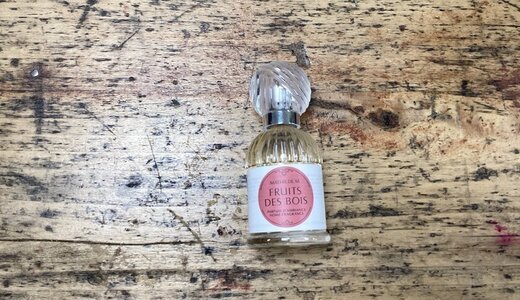 Parfum d’ambiance fruit des bois 30ml