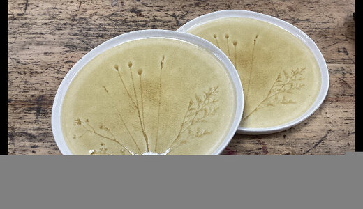 Assiette plate grès flé 26cm lot de 2