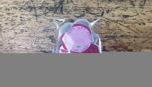 5 sachets thé vert sakura forme coeur
