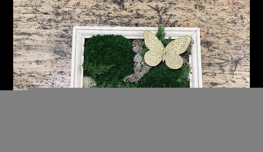 Cadre végétal stabilisé papillon 21x16cm