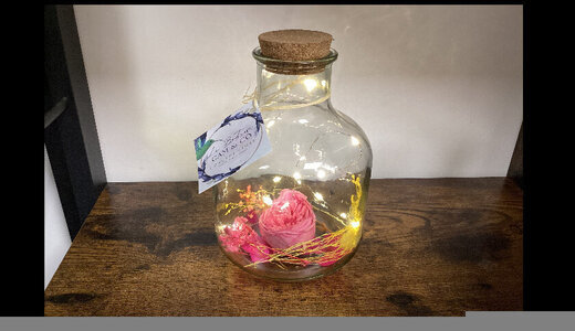 Terrarium lumineux fleurs stabilisées