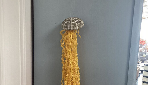 Pieuvre amarante stabilisée 50cm