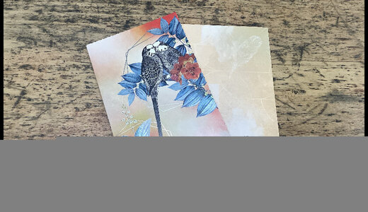 Carte postale perruches