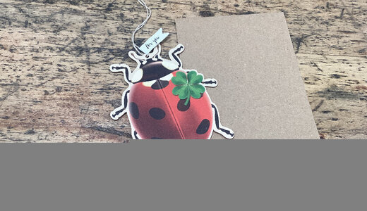 Carte coccinelle