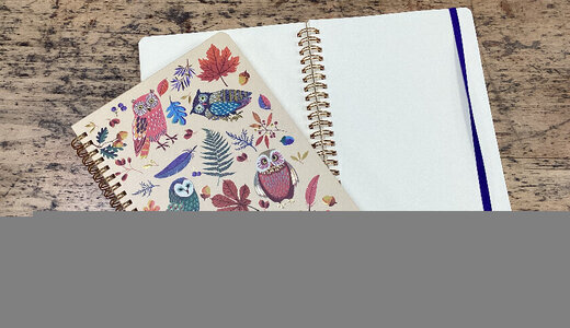 Carnet à spirales chouette