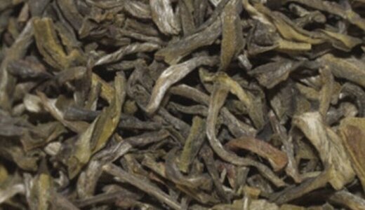Thé Vert Yunnan vert