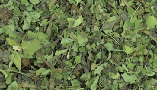 Infusions Moringa miraculeux