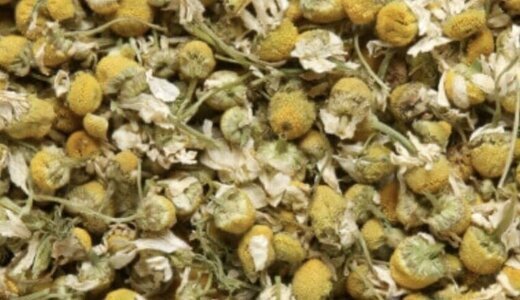 Infusions Camomille