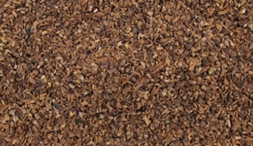 Infusion de cacao 