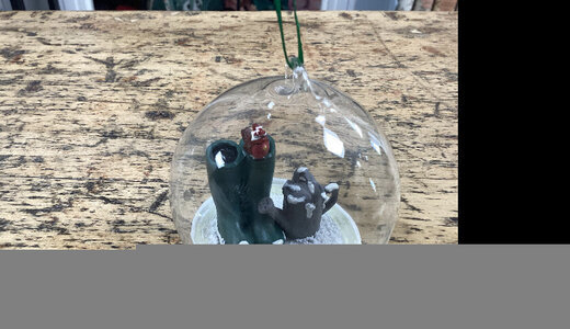 Boule de noël dôme jardinier