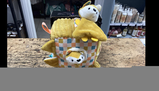 Cube activité Cyrano le renard