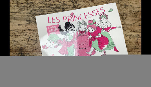Livre animé les princesses blink book