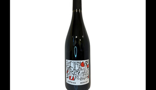 Domaine Puyol - Merlot d'Antoine - IGP Périgord