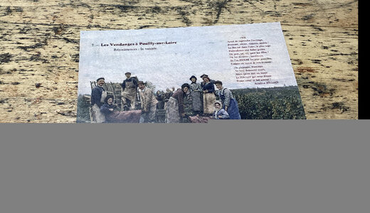 CP colorisée Pouilly la vannée 