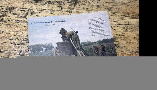 CP colorisée Pouilly vidons la hotte